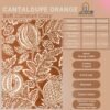 RUG KB-5270 Cantaloupe Orange - Image 7