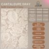 RUG KB-5272 Cantaloupe Grey - Image 7