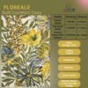 Floreale ( Green ) - Image 10