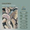 RUG KB-7077 Calathea - Image 6