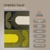 RUG KB-7053 Striped Tulip - Image 7