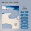 RUG KB-7175 Beas's Footprint - Image 7