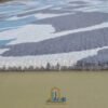 RUG KB-7078 Cranes - Image 5